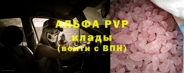 мяу мяу мука Лабытнанги