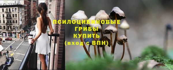 мдпв Лиски